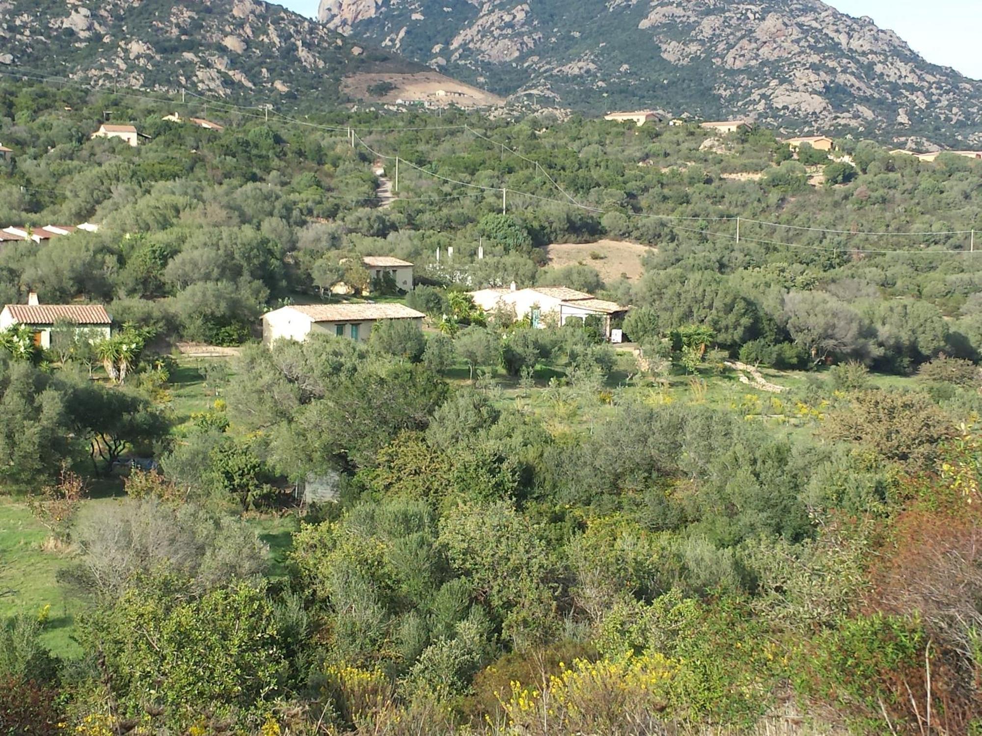 Agriturismo Agrisole Ольбия Экстерьер фото