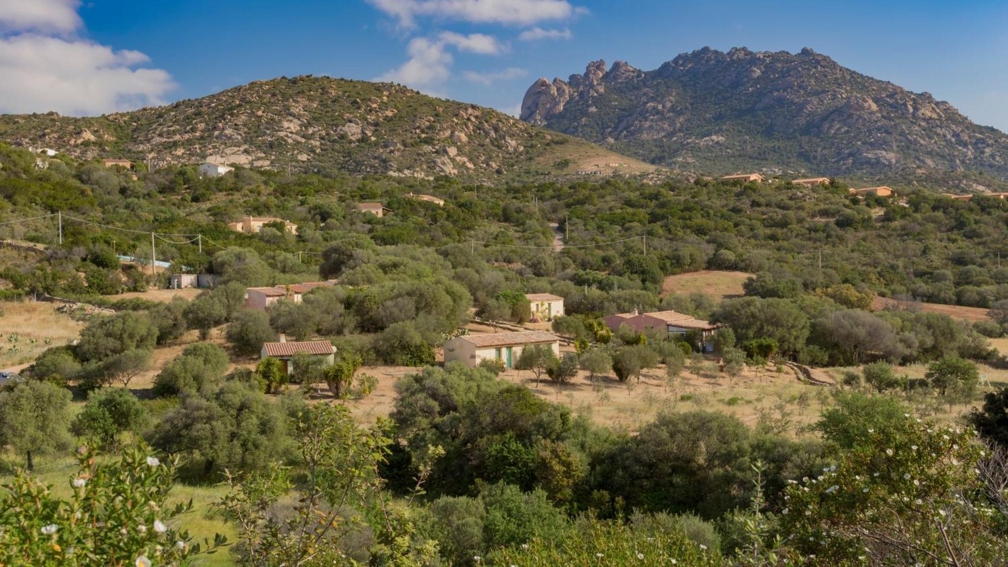 Agriturismo Agrisole Ольбия Экстерьер фото