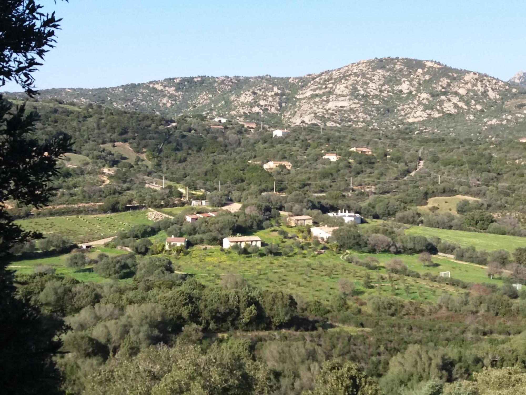 Agriturismo Agrisole Ольбия Экстерьер фото