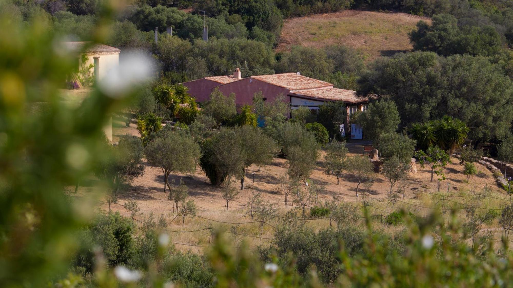 Agriturismo Agrisole Ольбия Экстерьер фото