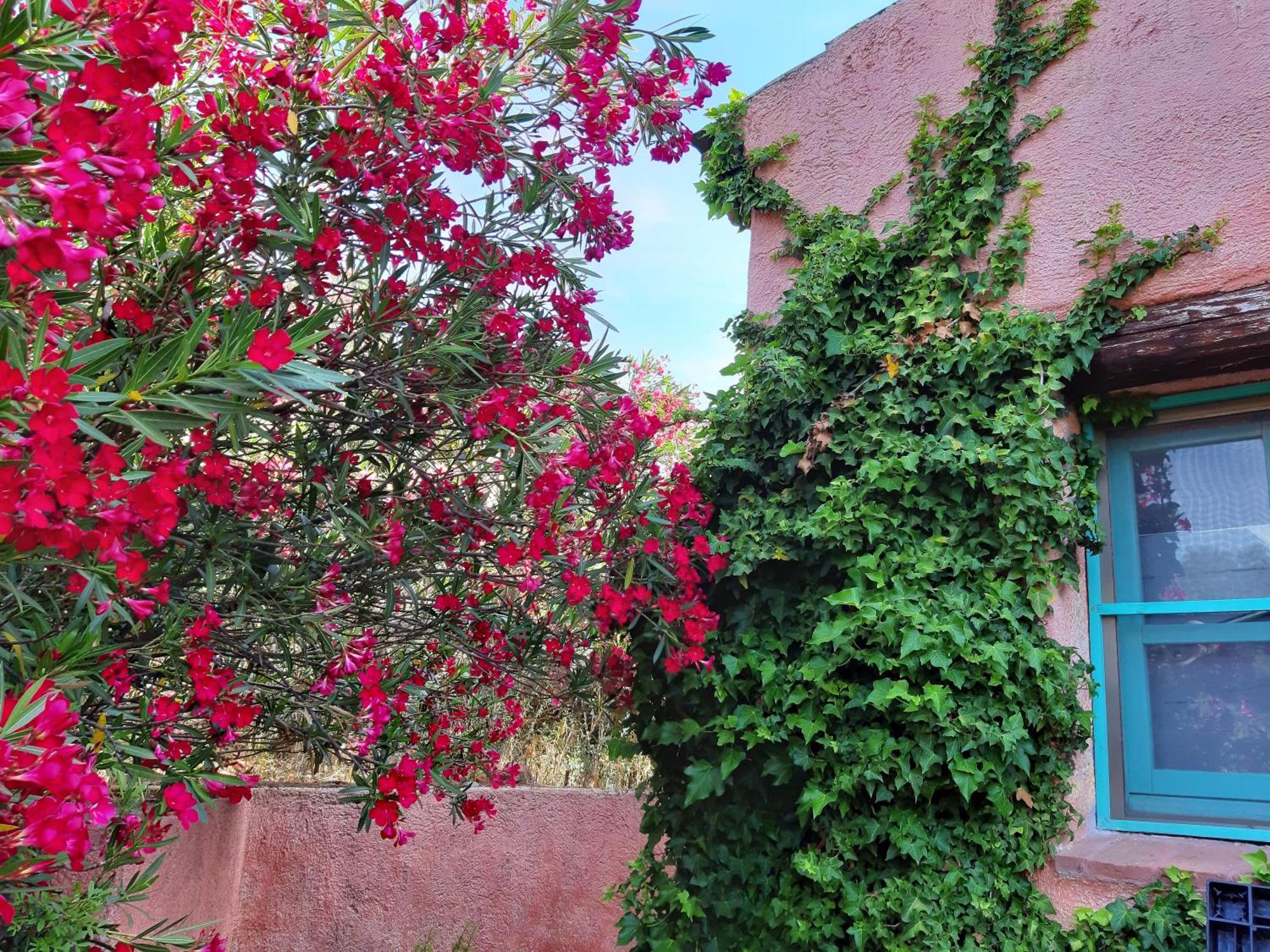 Agriturismo Agrisole Ольбия Экстерьер фото